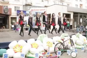 Фотография The Carey Academy 1